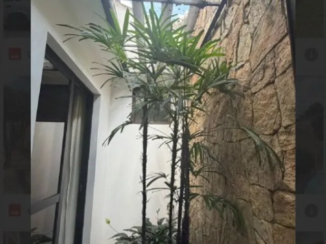Casa 3 quartos e 4 banheiros, à venda, no bairro Vila São Pedro em Santo André