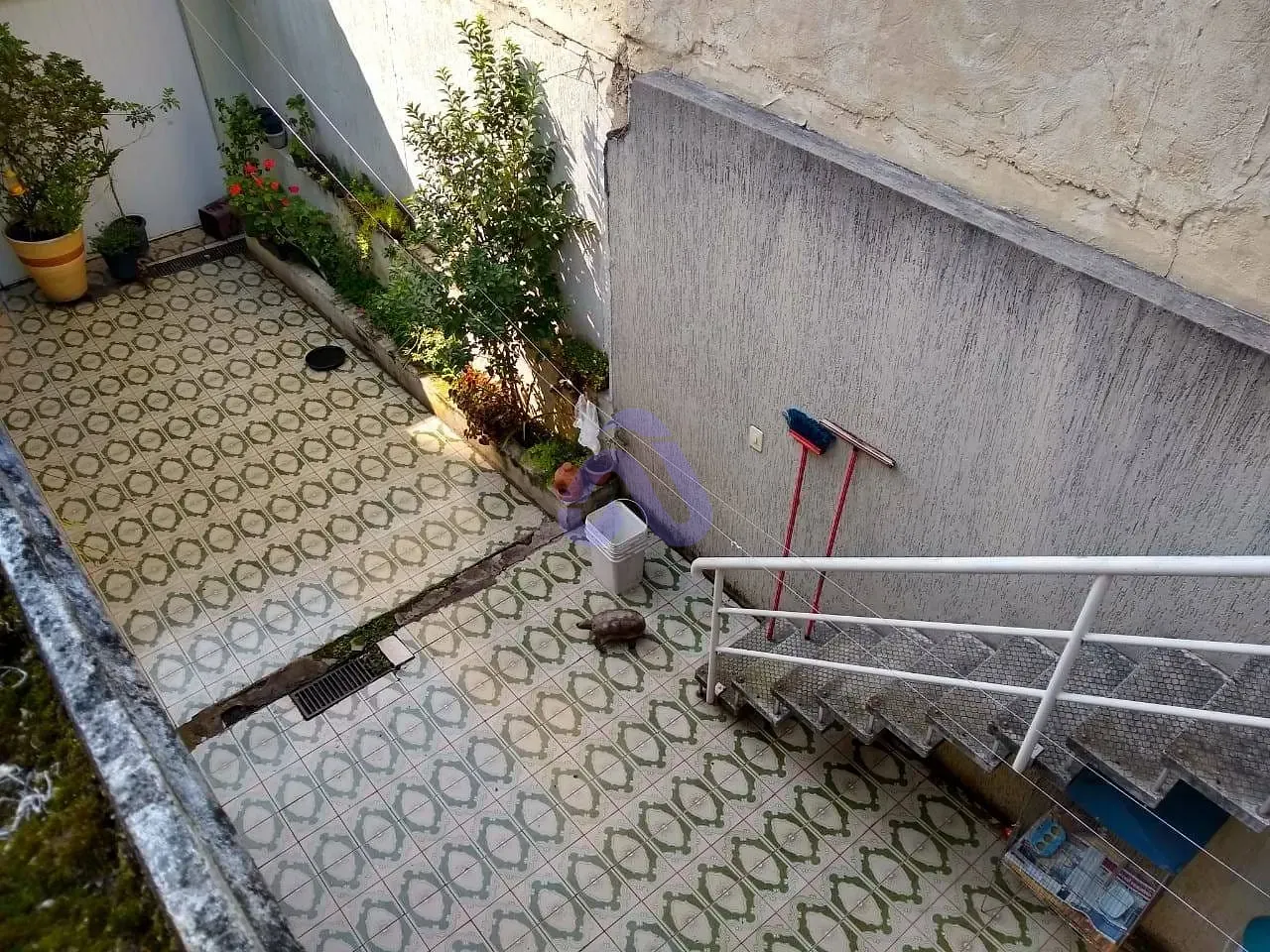 Casa, 3 quartos, 184 m² - Foto 11