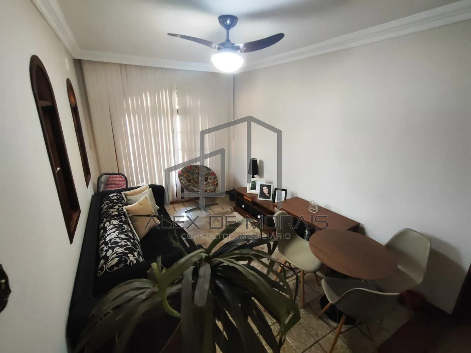 Casa, 3 quartos, 650 m² - Foto 6