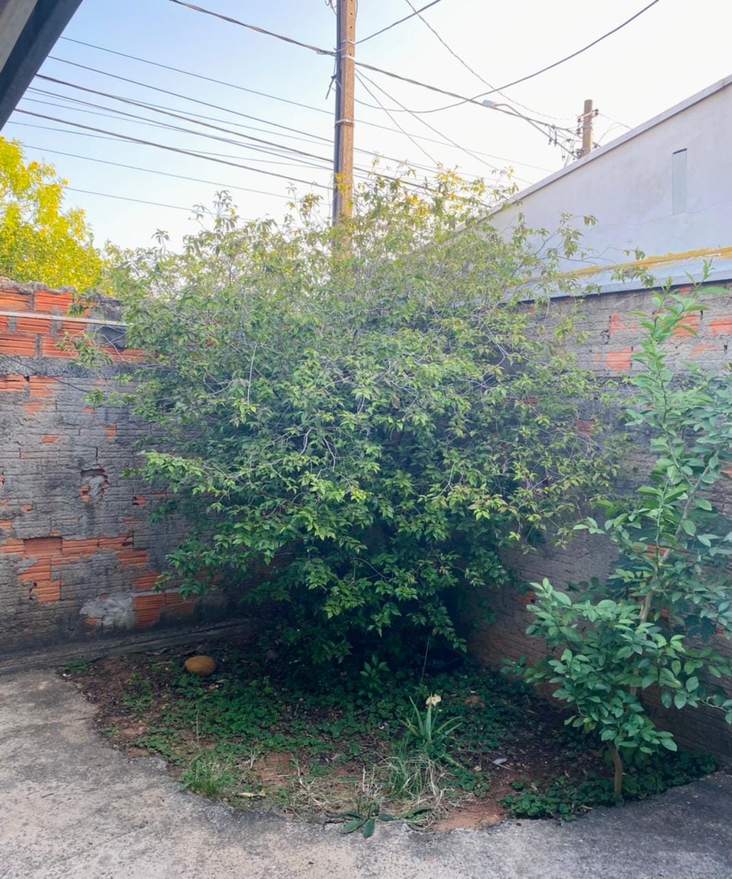 Casa, 2 quartos, 41 m² - Foto 11