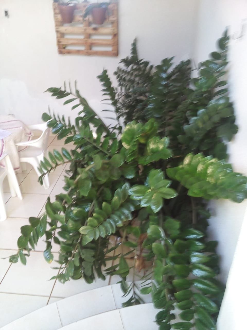 Casa, 3 quartos, 250 m² - Foto 11