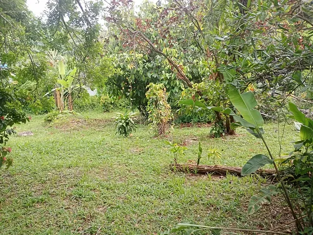 Terreno com 1440m², à venda, no bairro Limoeiro em Guapimirim