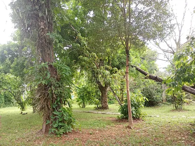 Terreno com 1440m², à venda, no bairro Limoeiro em Guapimirim