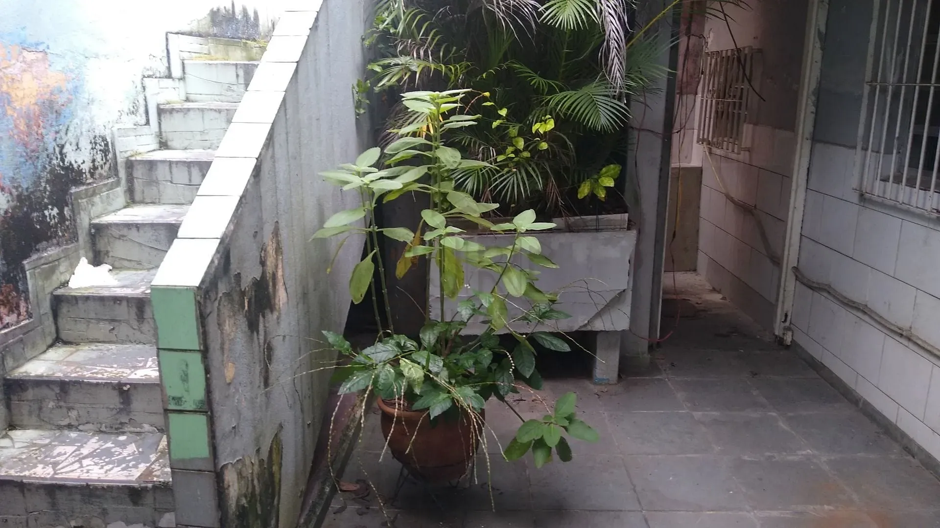 Casa, 2 quartos, 263 m² - Foto 32
