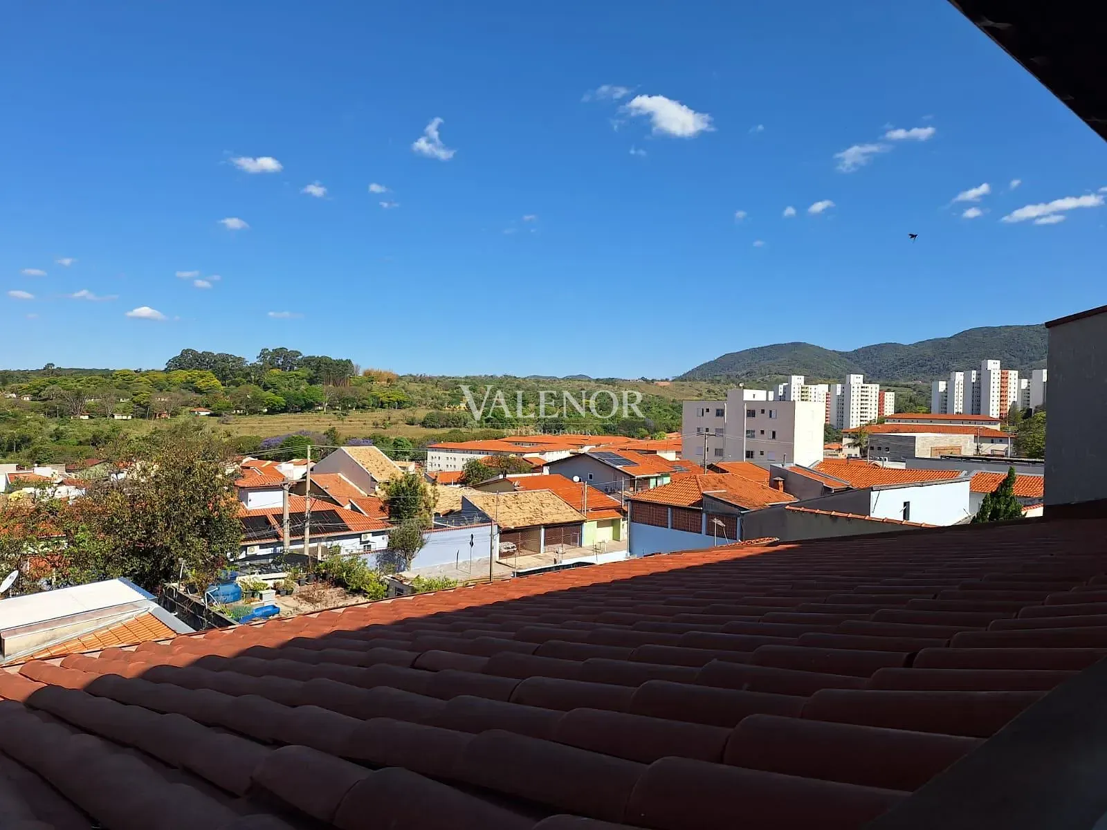 Casa, 4 quartos, 296 m² - Foto 26