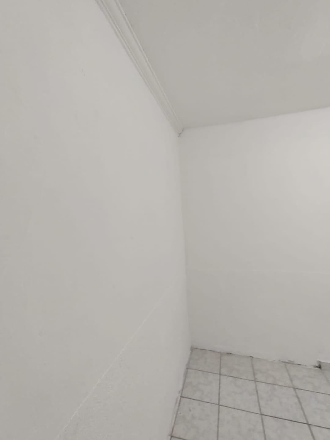 Casa, 2 quartos, 250 m² - Foto 8