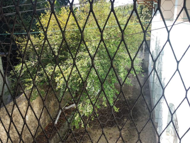 Casa 2 quartos e 1 banheiro, à venda, no bairro Senador Vasconcelos em Rio de Janeiro