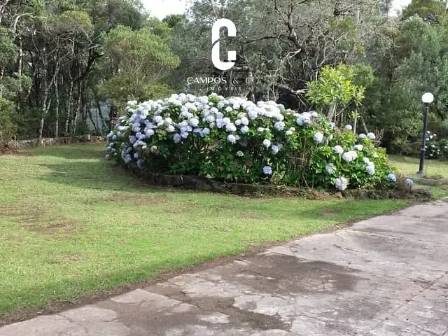 Terreno com 138997m², à venda, no bairro Parque Ferradura em Campos Do Jordão