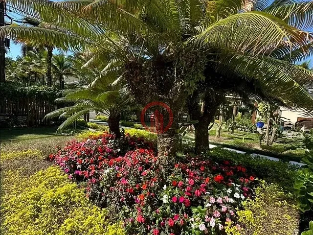 Casa com 785m² 5 quartos e 4 banheiros, à venda, no bairro Balneário Praia do Pernambuco em Guarujá