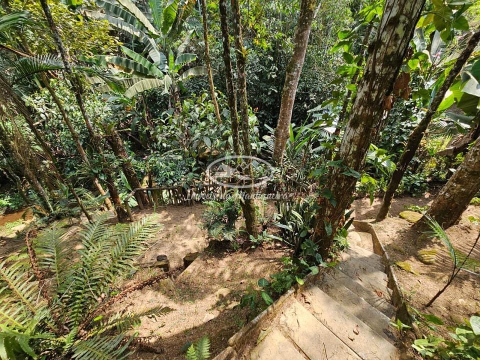 Casa, 3 quartos, 224 m² - Foto 46