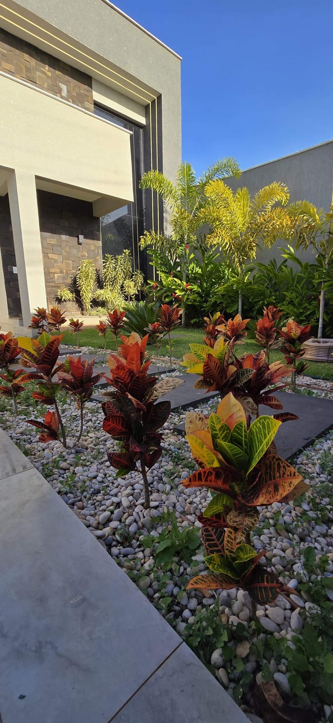 Casa, 3 quartos, 174 m² - Foto 3