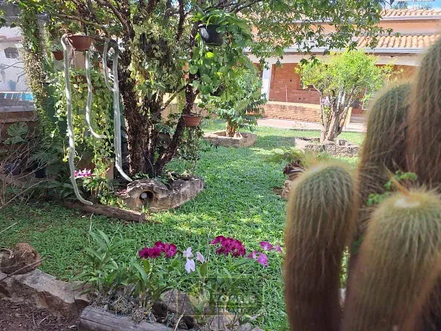 Casa 3 quartos e 4 banheiros, à venda, no bairro Palm Park em Holambra