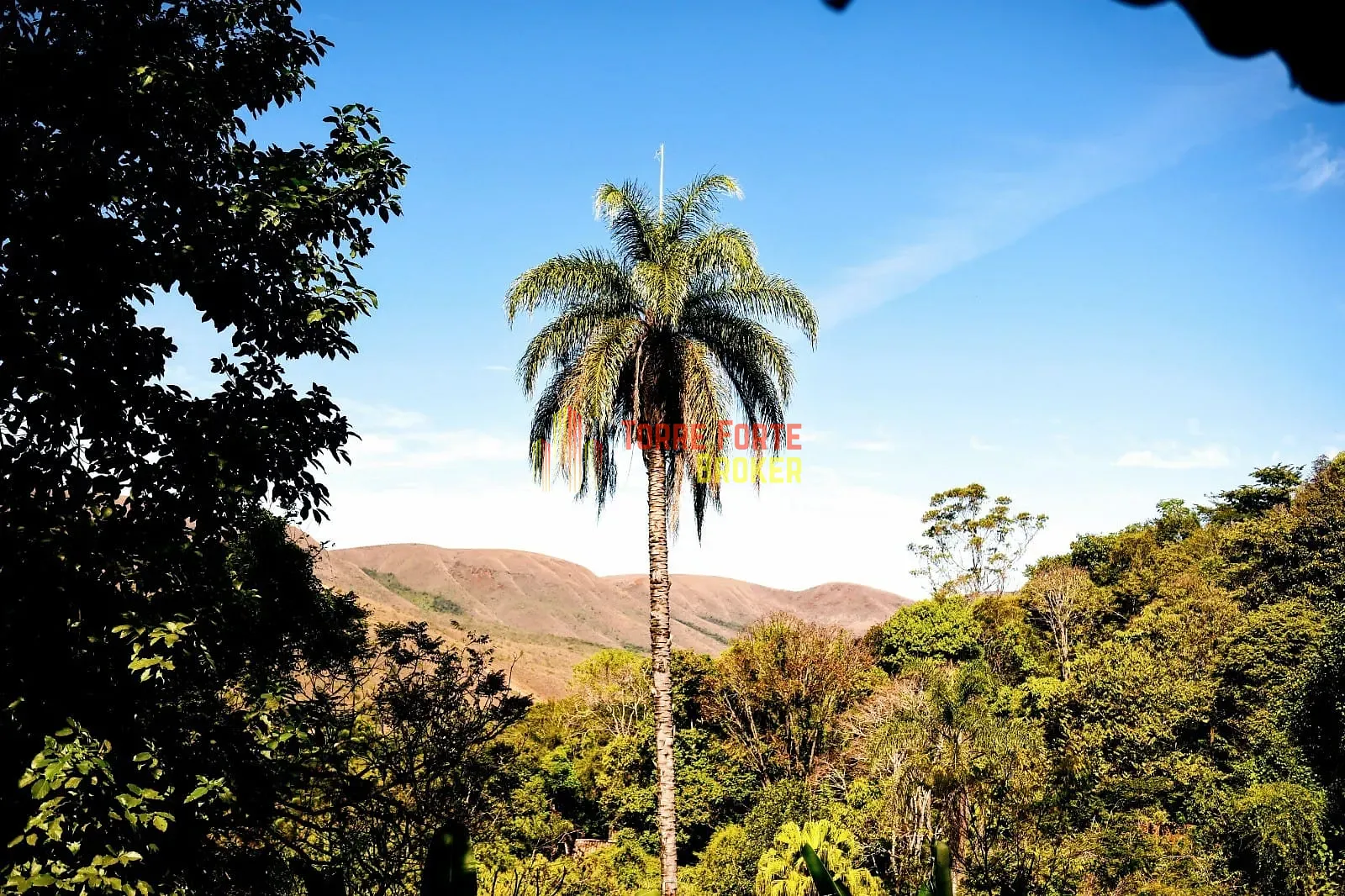 Casa, 4 quartos, 450 m² - Foto 24