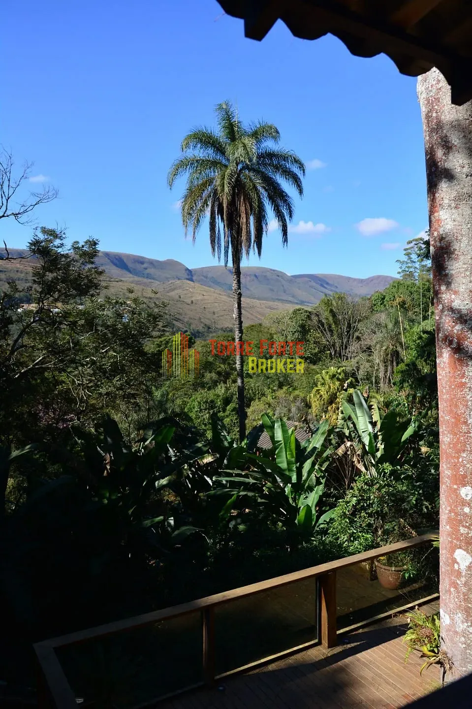 Casa, 4 quartos, 450 m² - Foto 22