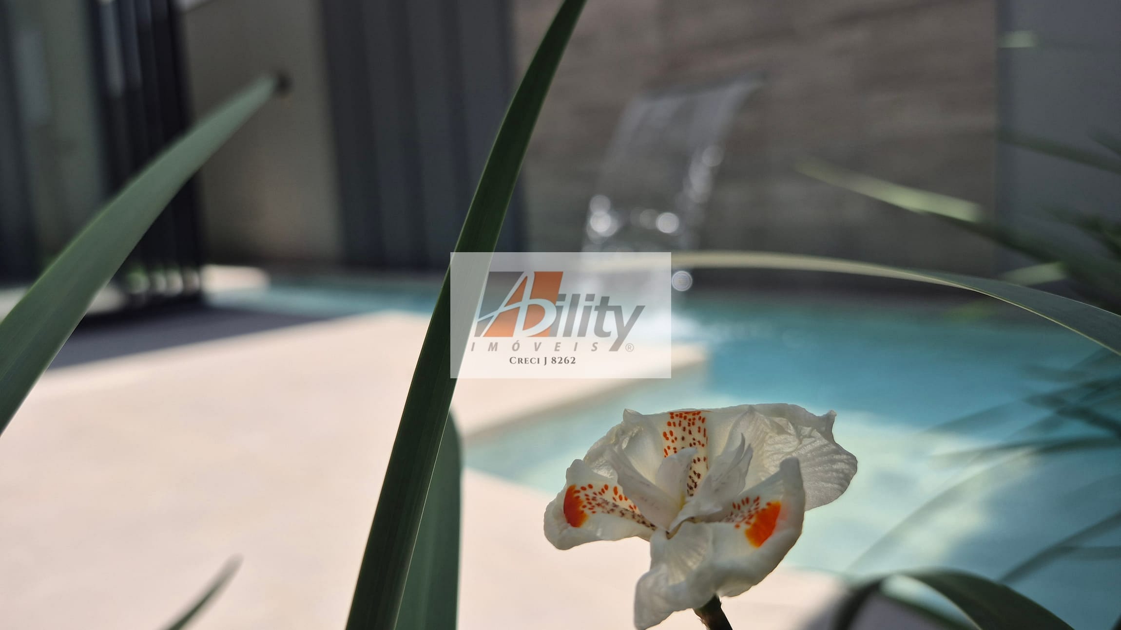 Casa, 4 quartos, 261 m² - Foto 34