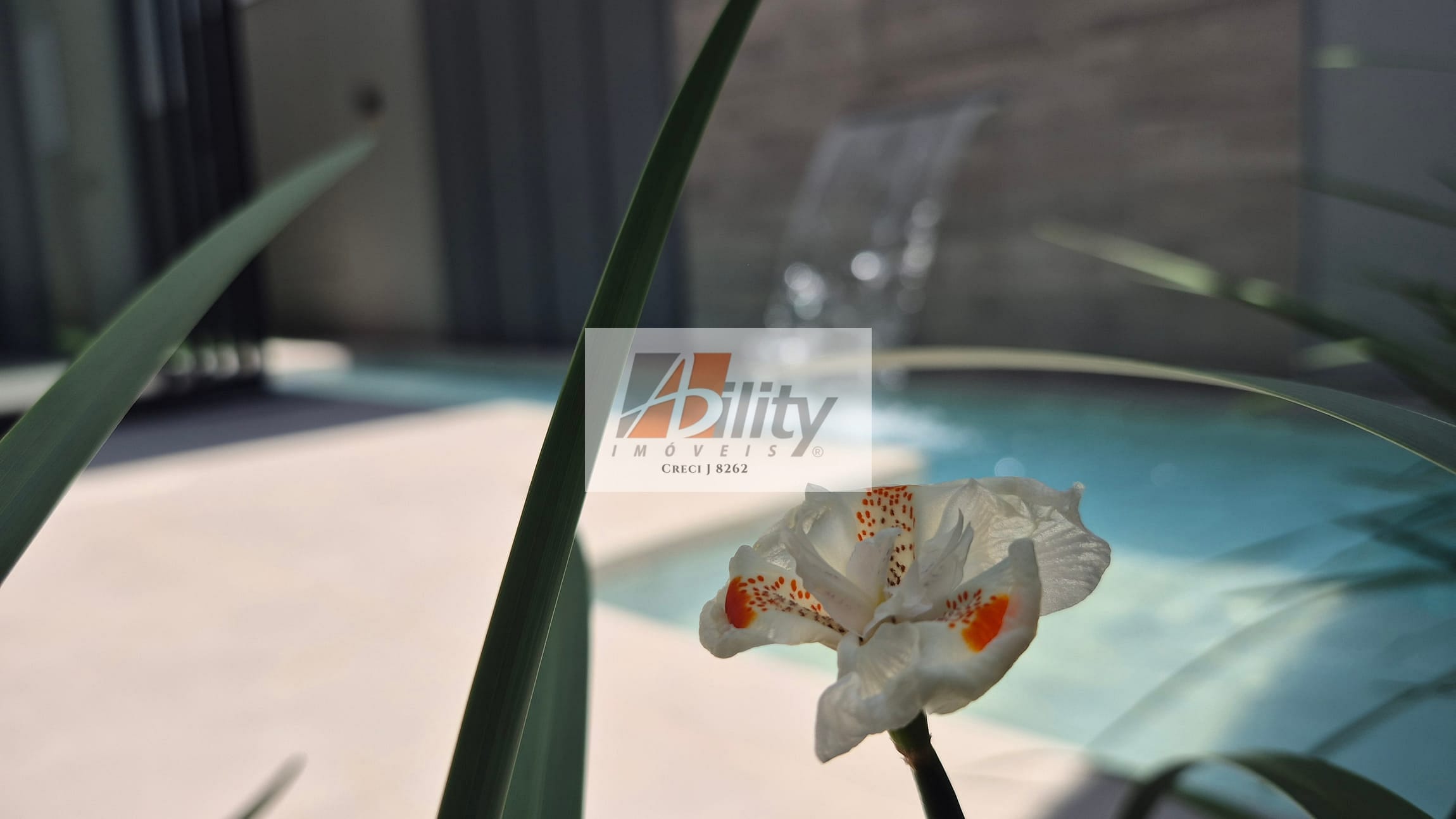 Casa, 4 quartos, 261 m² - Foto 33