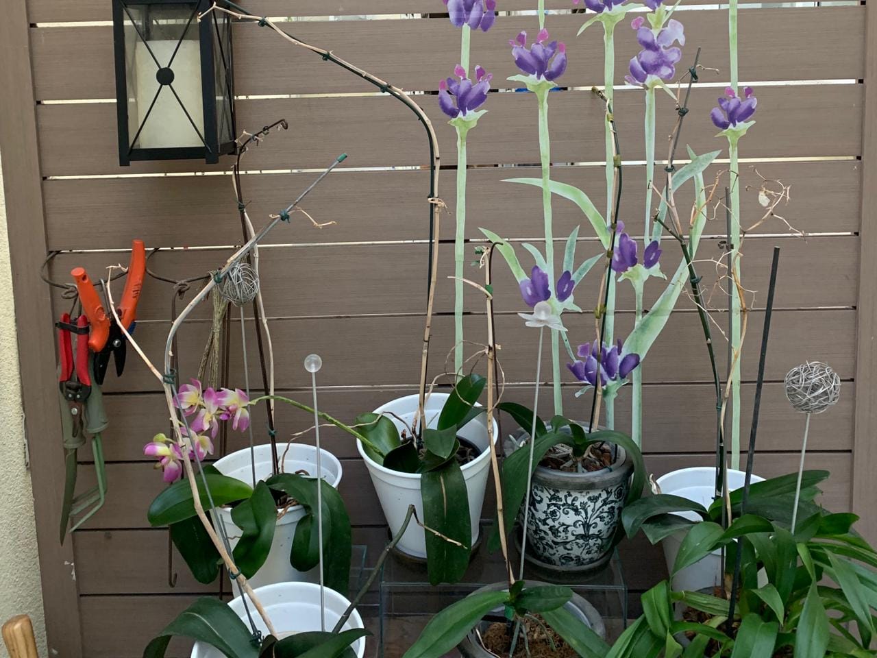 Casa, 3 quartos, 350 m² - Foto 11