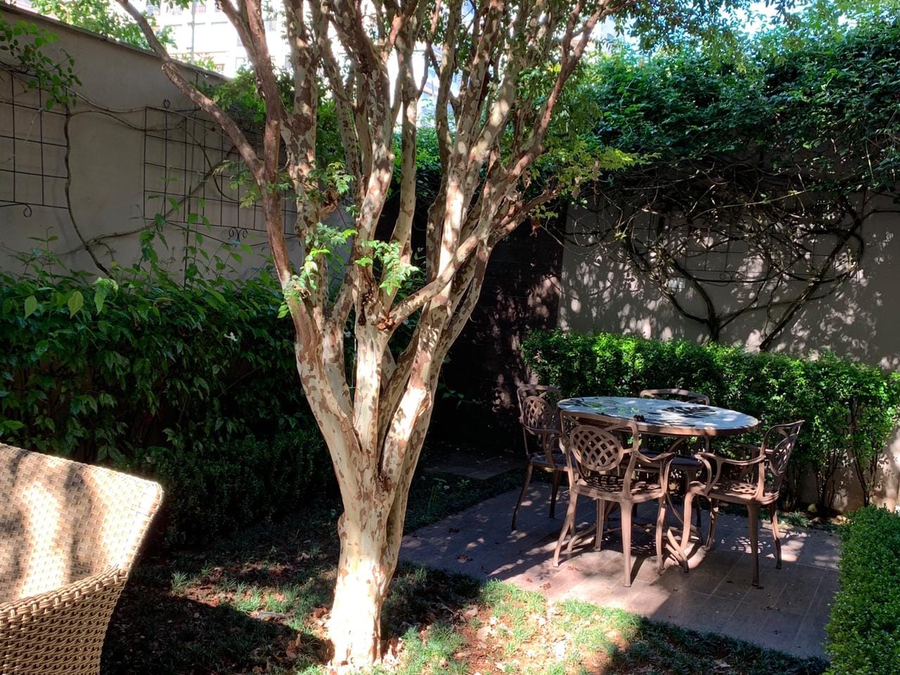 Casa, 3 quartos, 350 m² - Foto 2