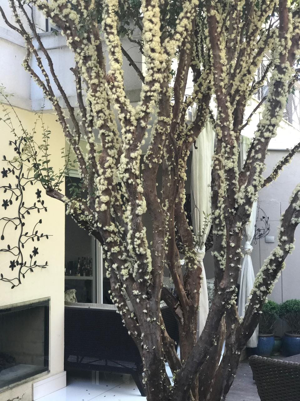 Casa, 3 quartos, 350 m² - Foto 25