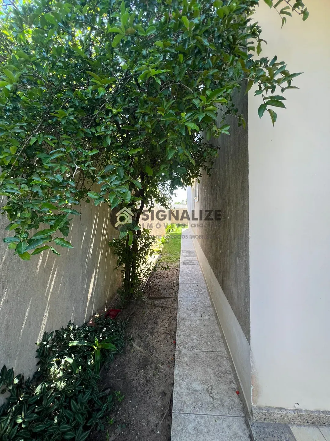 Casa, 4 quartos, 300 m² - Foto 17