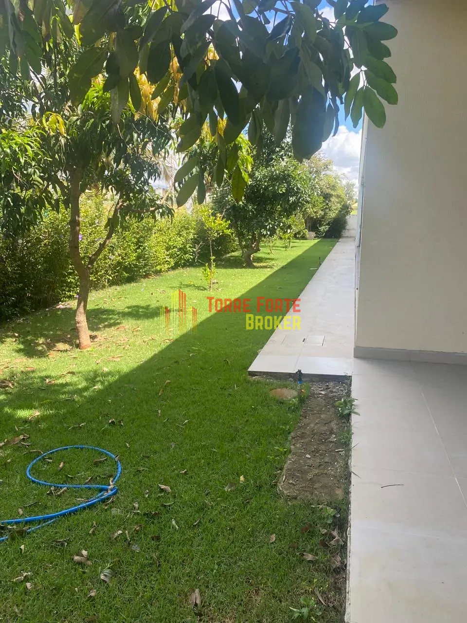 Casa, 5 quartos, 1000 m² - Foto 3