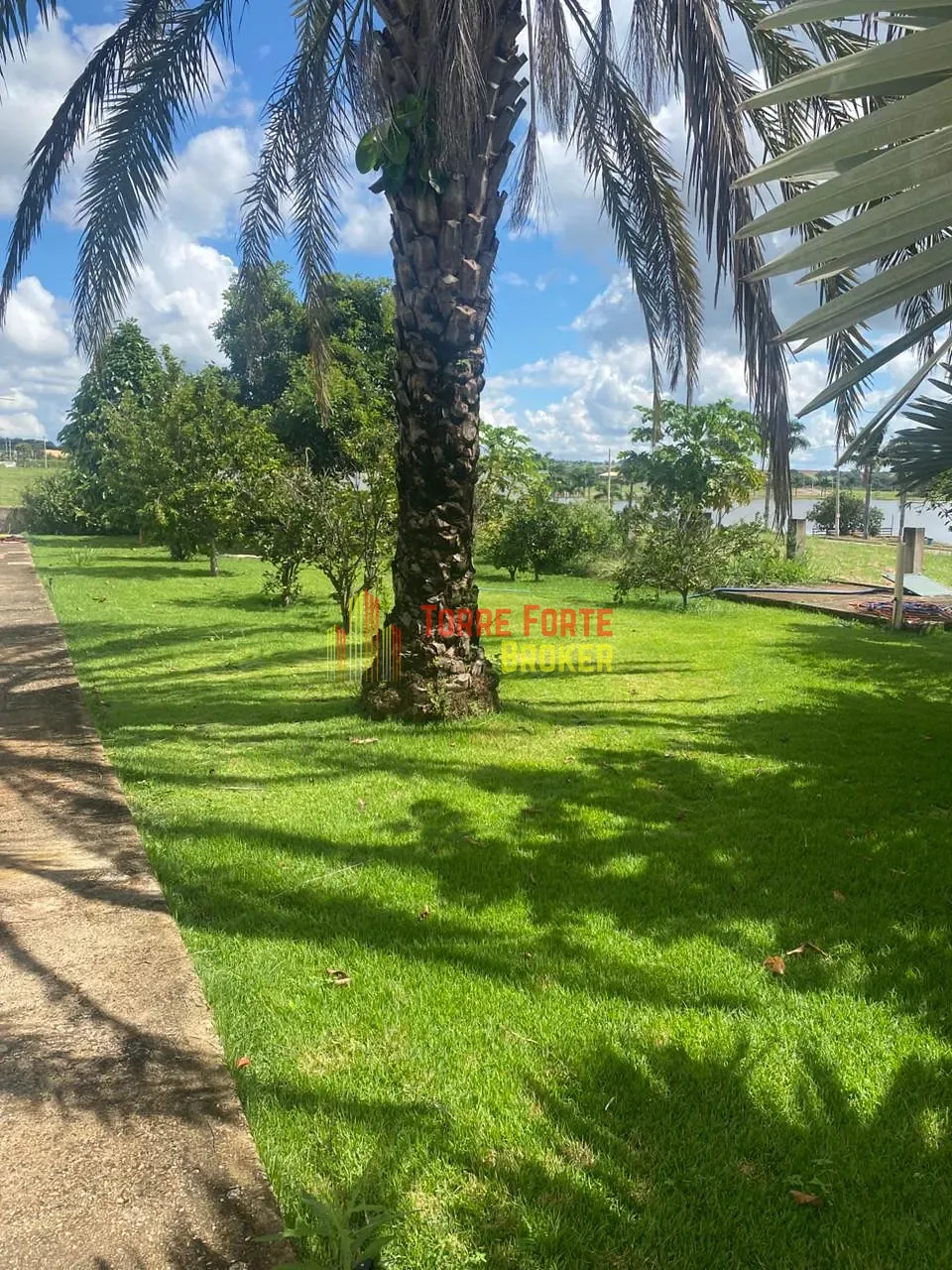 Casa, 5 quartos, 1000 m² - Foto 2