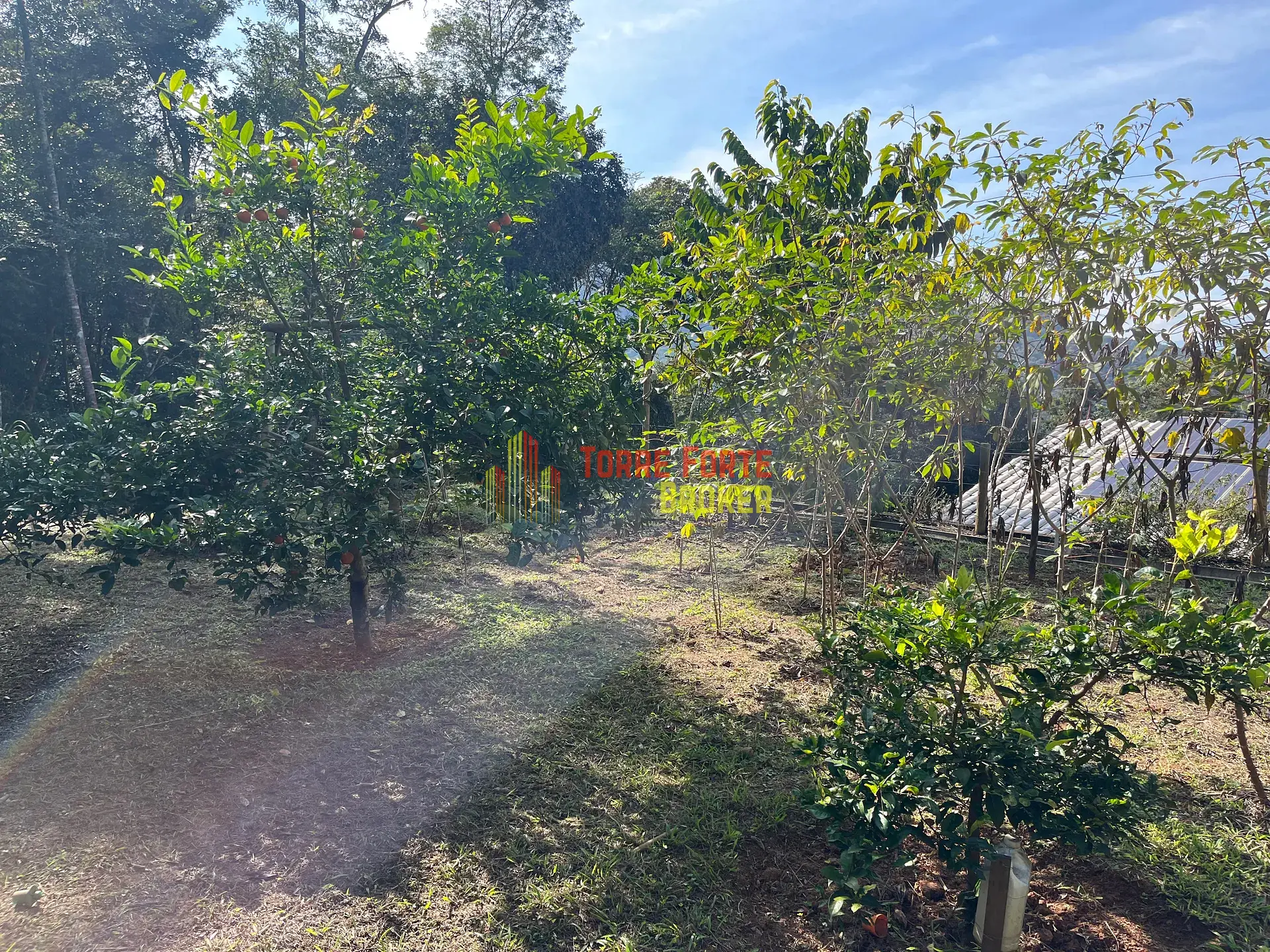Casa, 4 quartos, 264 m² - Foto 49
