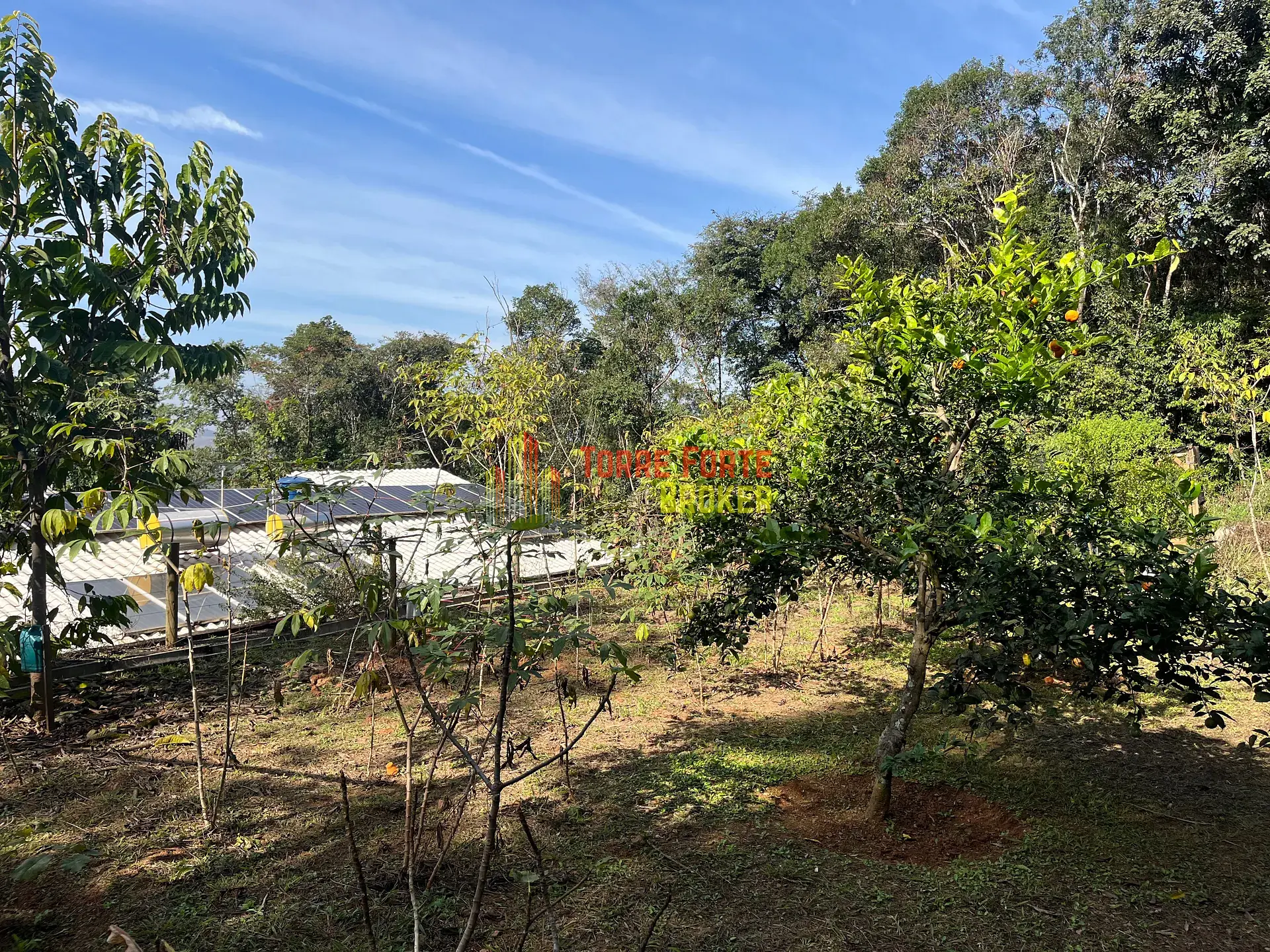 Casa, 4 quartos, 264 m² - Foto 3
