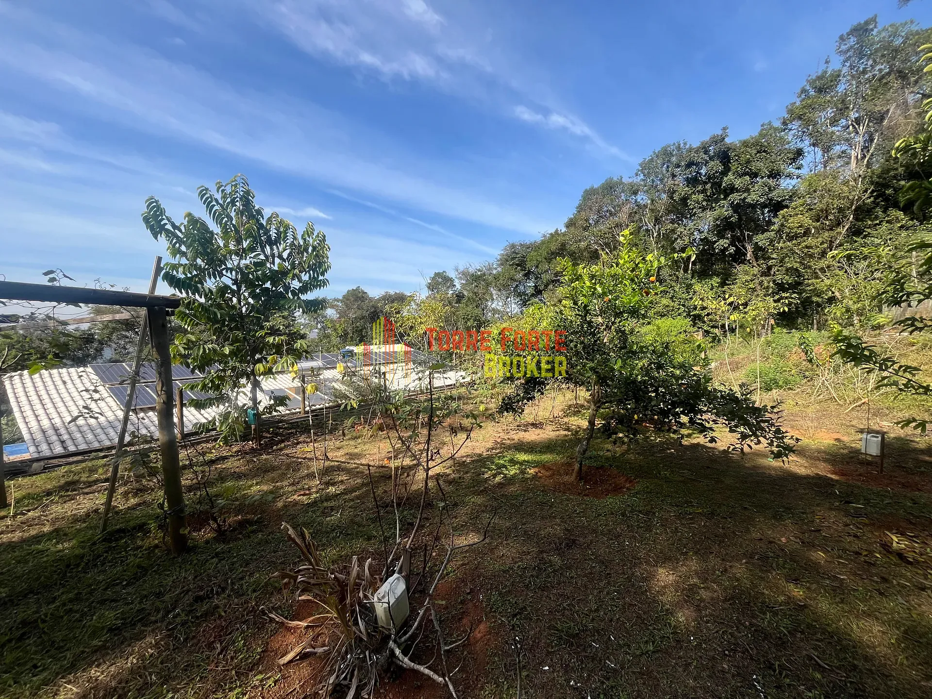 Casa, 4 quartos, 264 m² - Foto 4