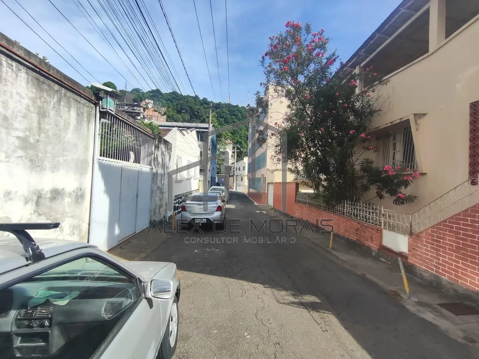 Casa, 4 quartos, 280 m² - Foto 23