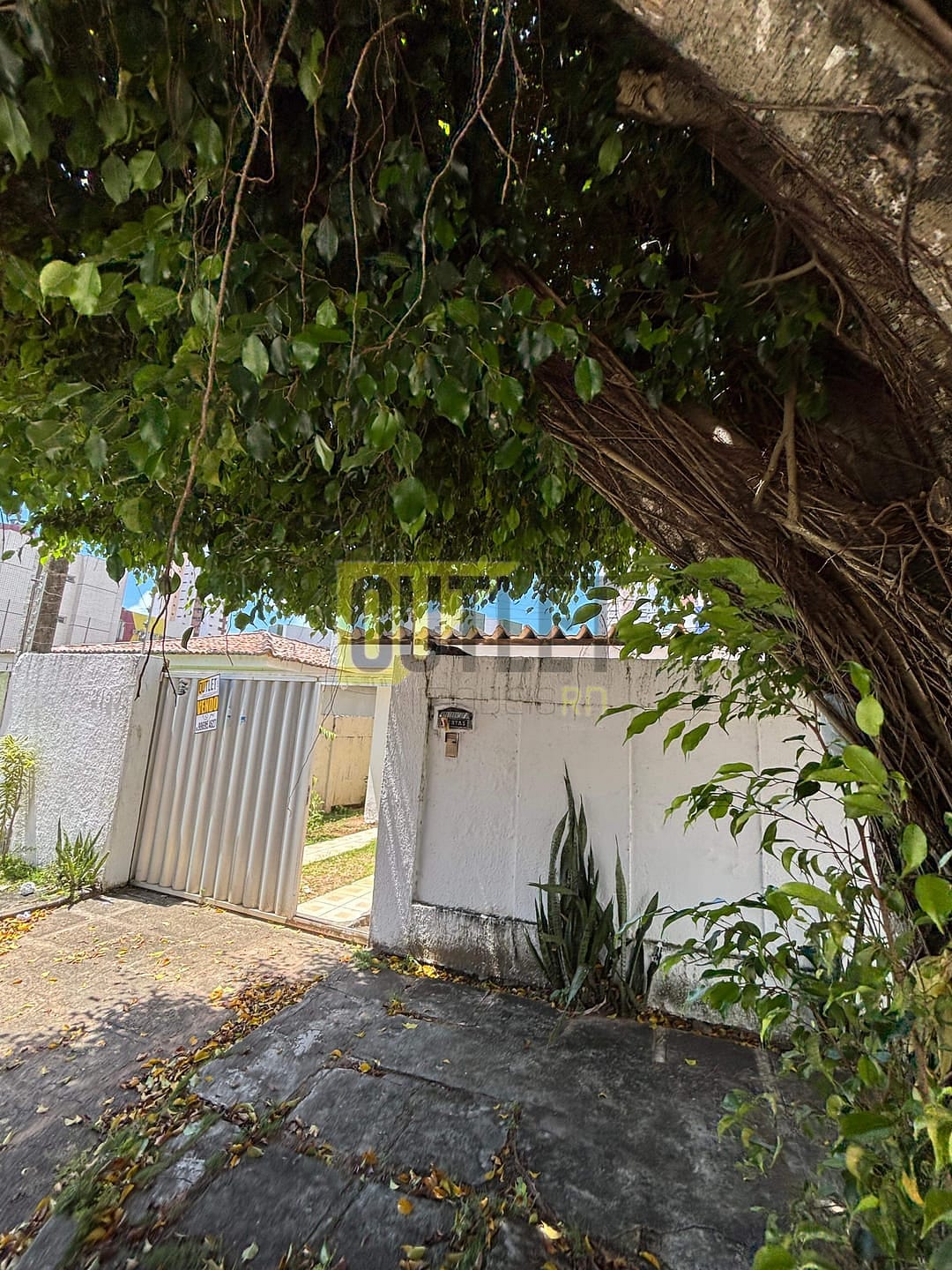 Casa à venda com 3 quartos, 300m² - Foto 3