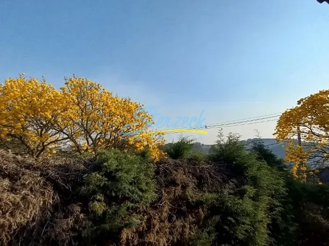 Casa com 4200m² 3 quartos e 3 banheiros, à venda, no bairro Caixa D´água em Vinhedo