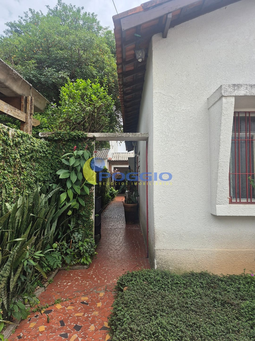 Casa, 4 quartos, 300 m² - Foto 4