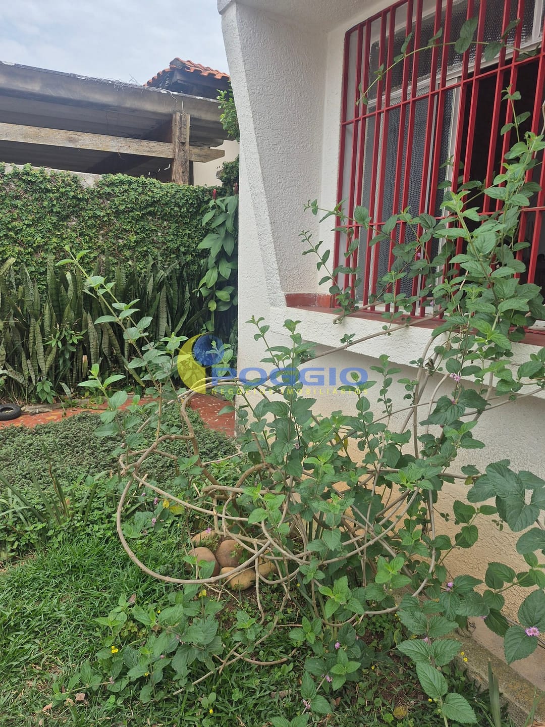 Casa, 4 quartos, 300 m² - Foto 3