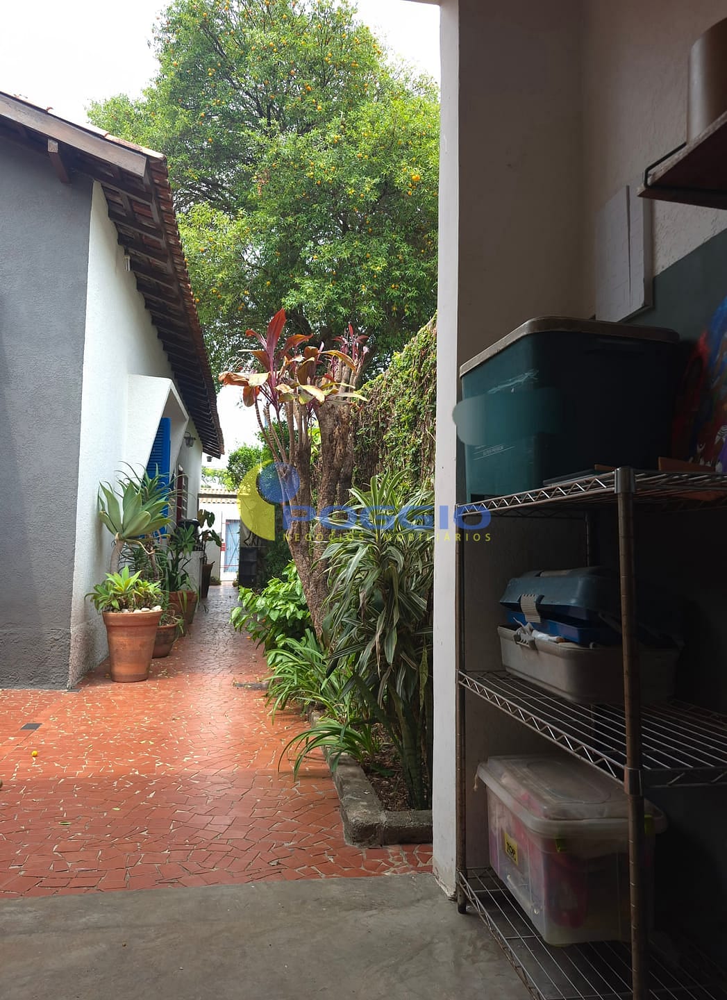 Casa, 4 quartos, 300 m² - Foto 6