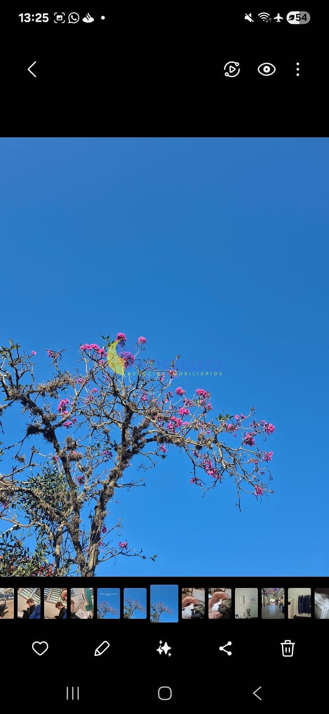 Casa, 4 quartos, 300 m² - Foto 26