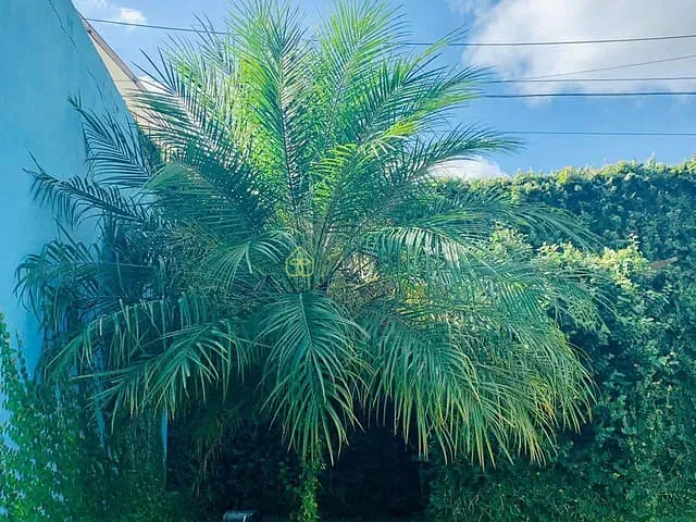 Casa com 333m² 1 quarto e 1 banheiro, à venda, no bairro Rialto em Barra Mansa