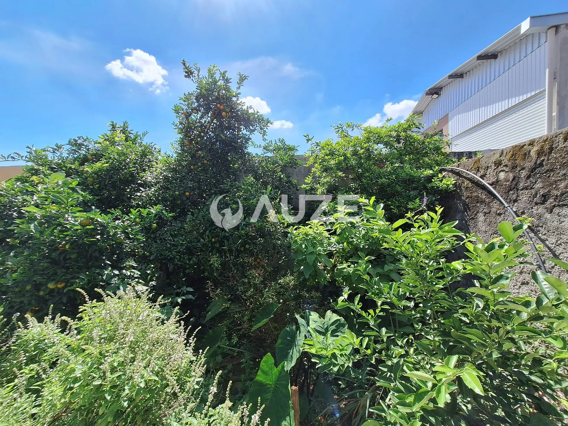 Casa, 4 quartos, 130 m² - Foto 34