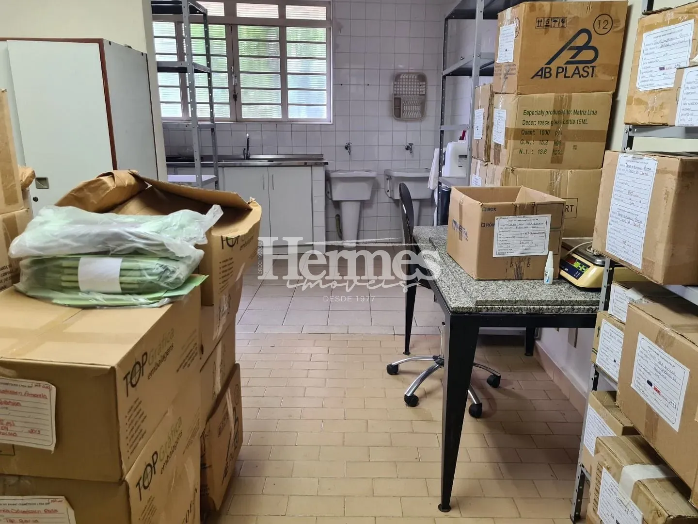 Casa, 6 quartos, 600 m² - Foto 5