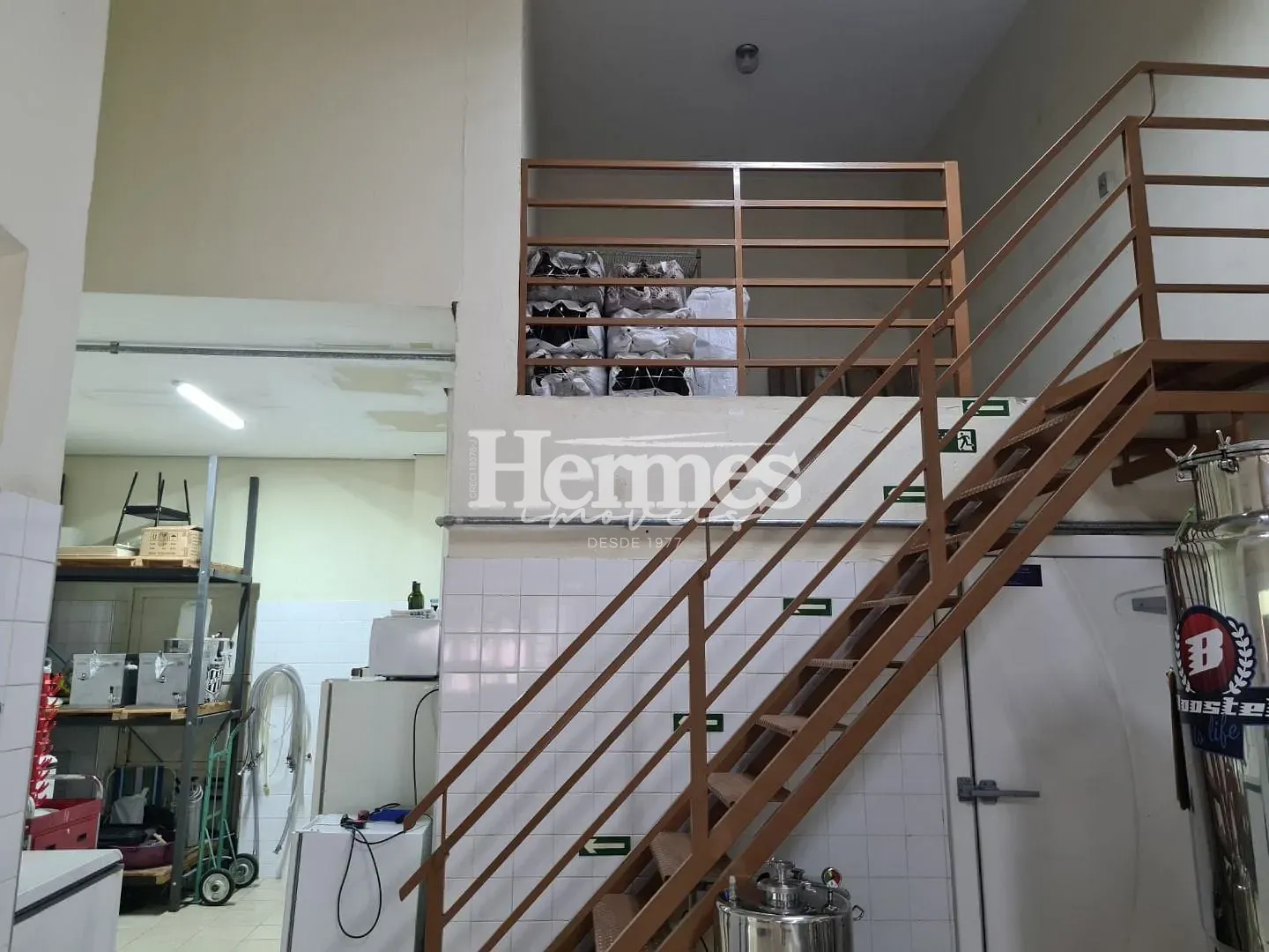 Casa, 6 quartos, 600 m² - Foto 3