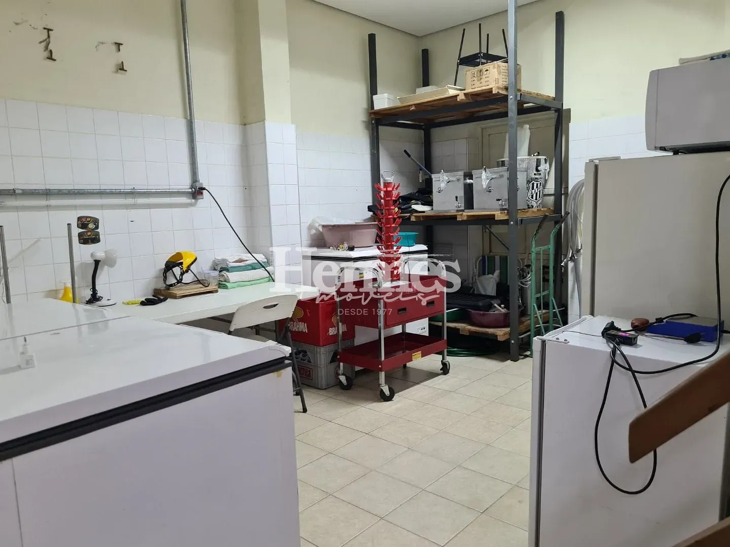 Casa, 6 quartos, 600 m² - Foto 4