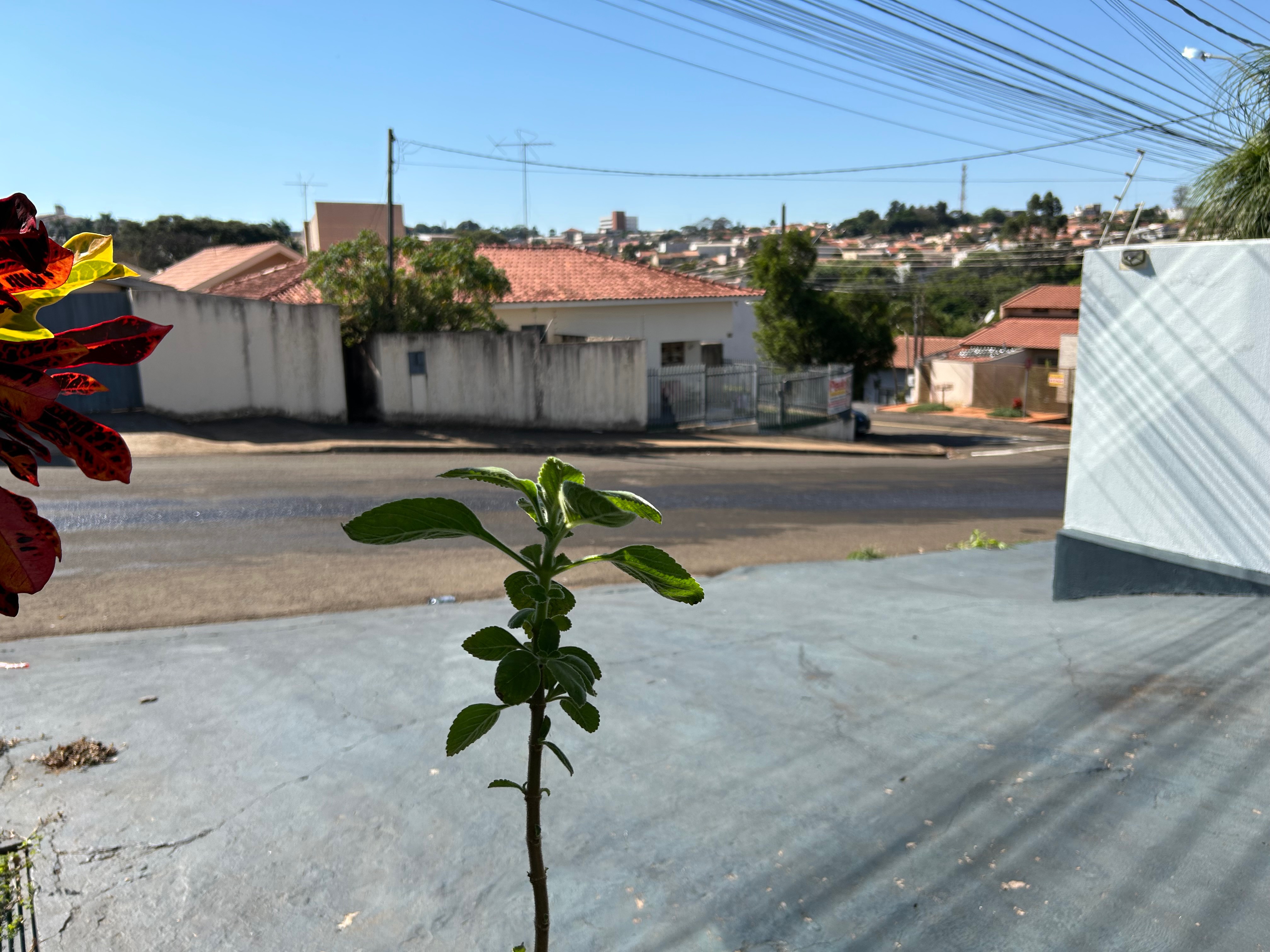 Sobrado à venda com 7 quartos, 349m² - Foto 37
