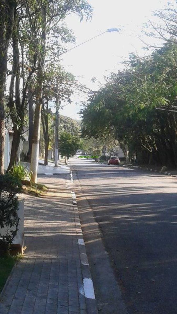 Casa, 4 quartos, 793 m² - Foto 5