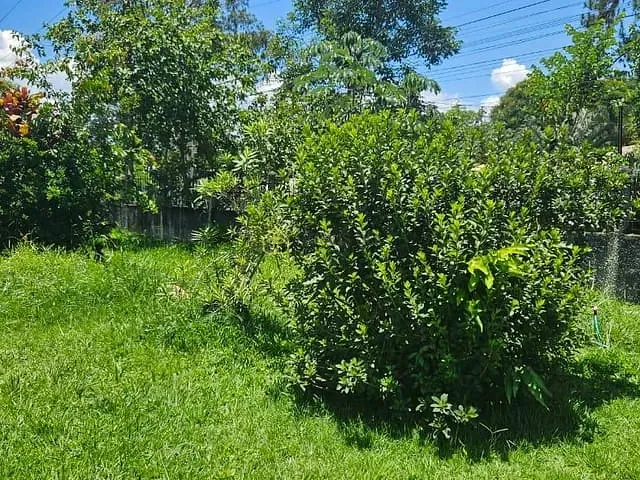 Casa com 2310m² 4 quartos e 3 banheiros, à venda, no bairro Vila Pinheiro em Itatiaia