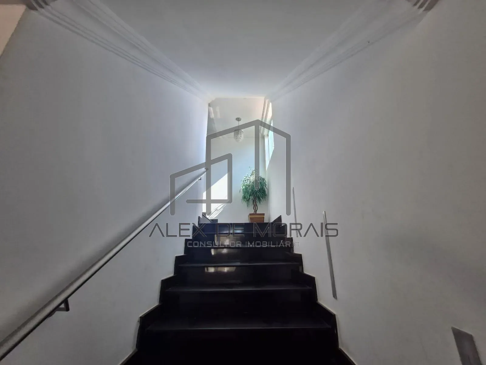 Casa, 5 quartos, 400 m² - Foto 12