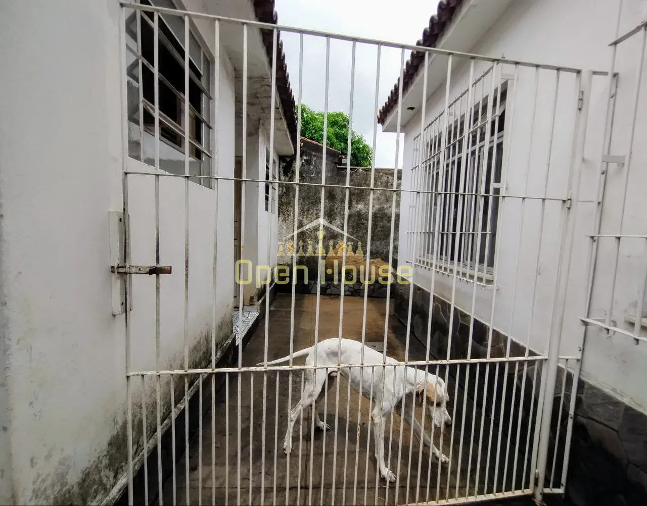 Casa, 3 quartos, 360 m² - Foto 50