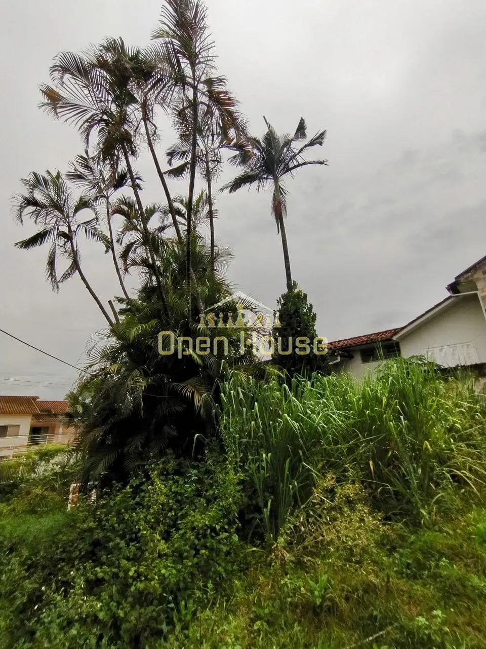 Casa, 3 quartos, 360 m² - Foto 54