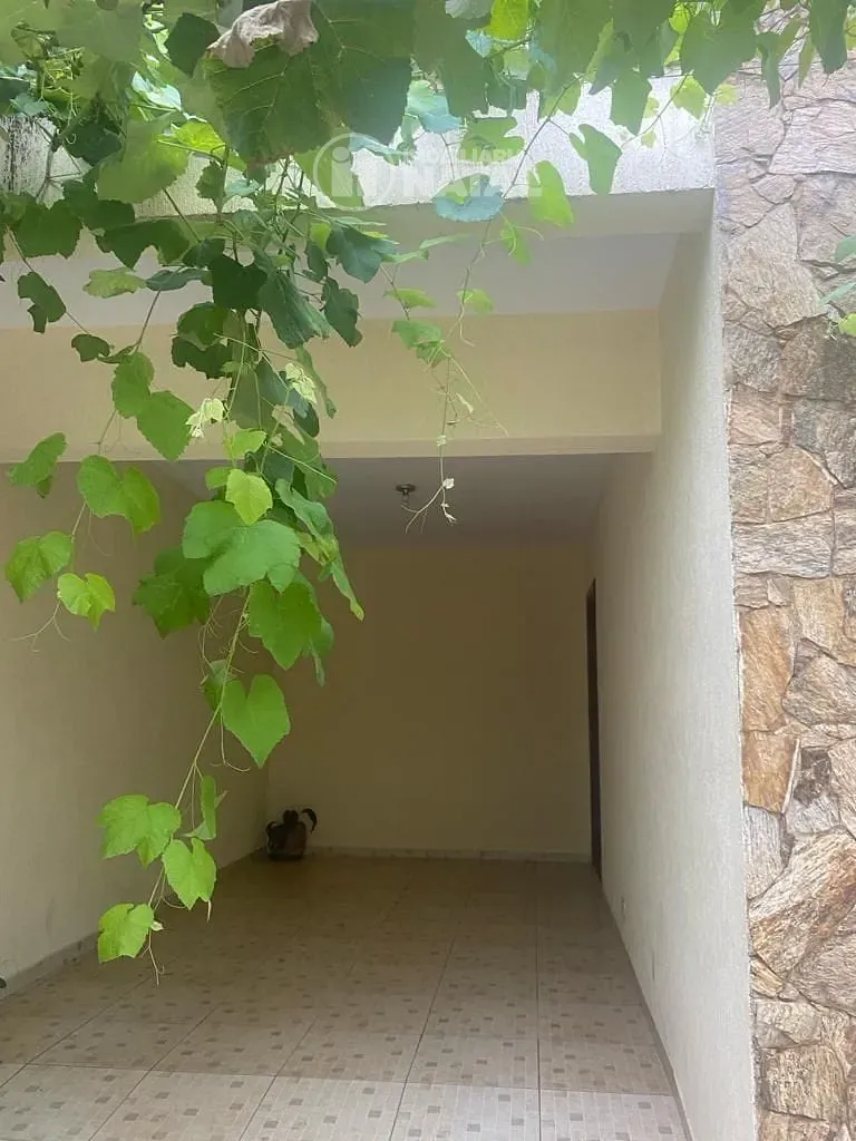 Casa, 6 quartos, 264 m² - Foto 32