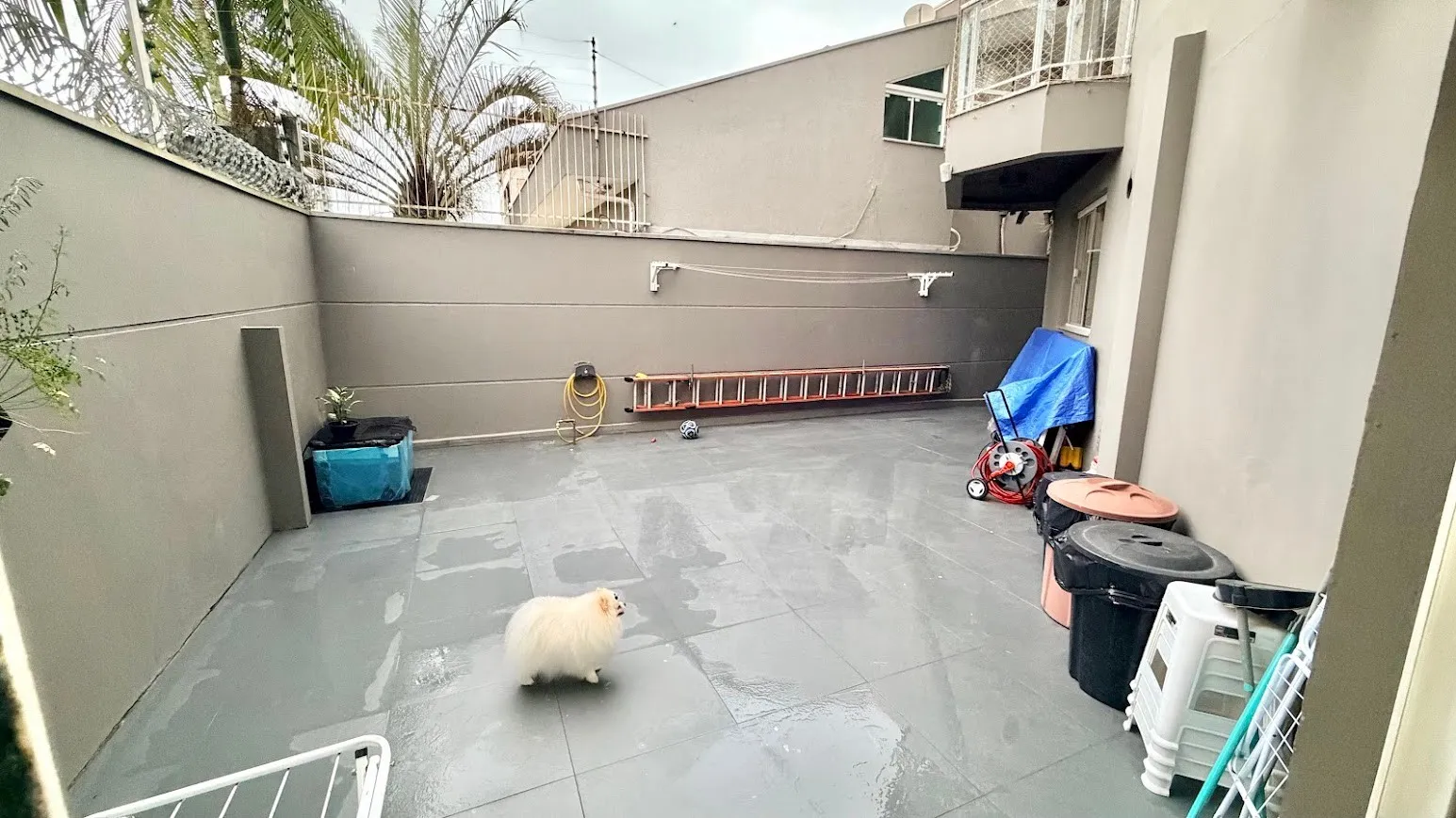 Casa, 3 quartos, 267 m² - Foto 4