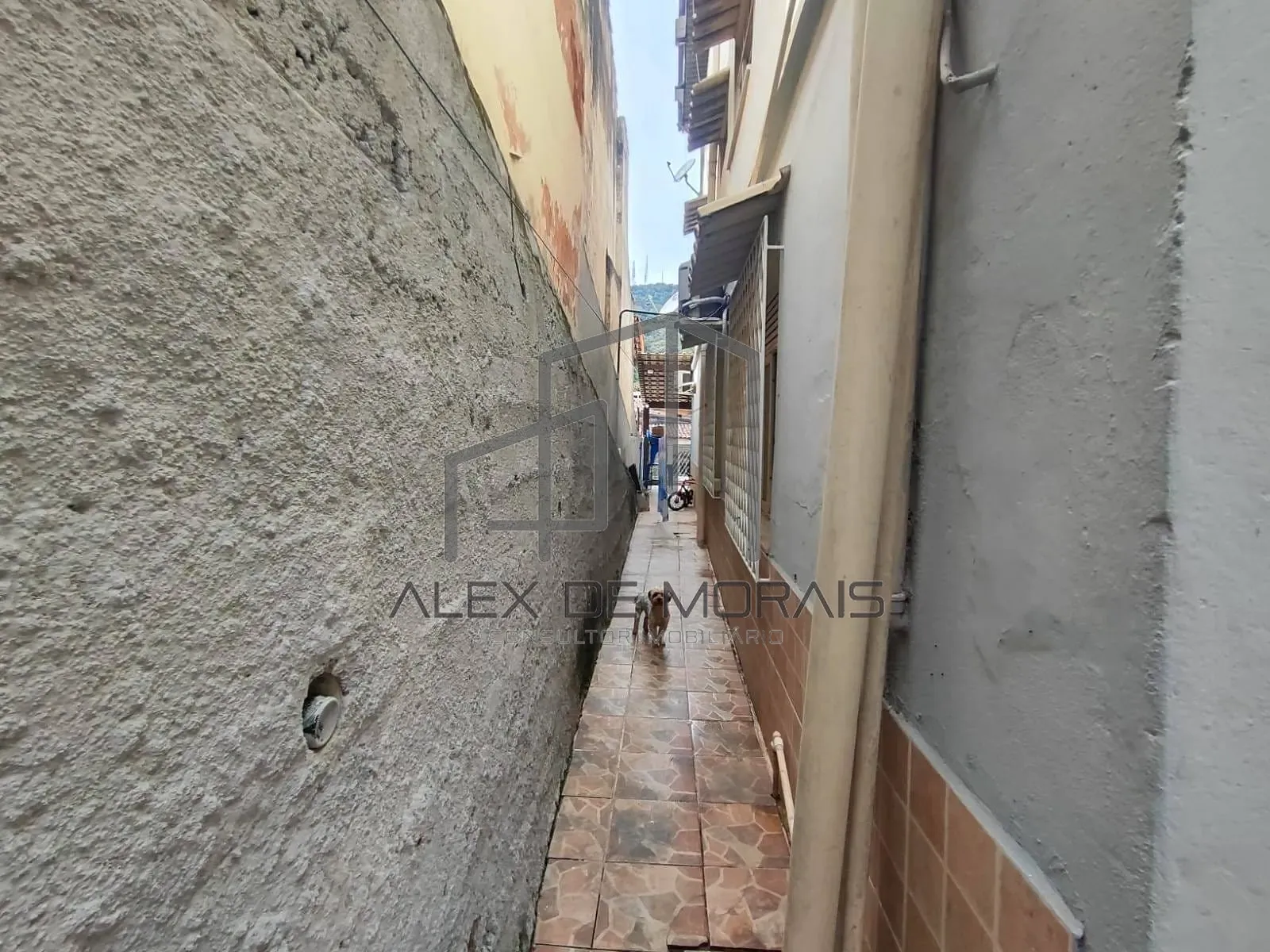 Casa, 7 quartos, 250 m² - Foto 12
